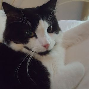 Meet your Posher, Laura